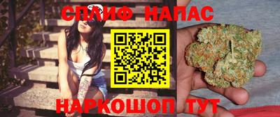 не бодяженный Гатчина
