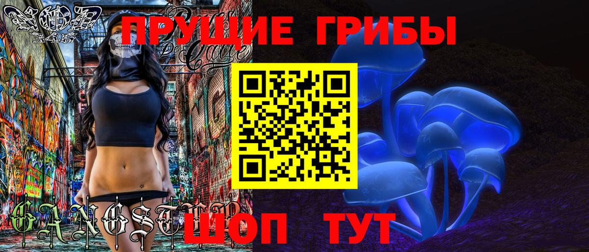 Галлюциногенные грибы Psilocybe  Вход с VPN  Прохладный 