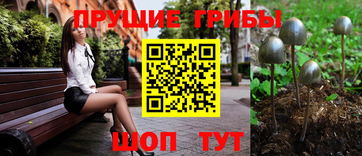 Псилоцибиновые грибы GOLDEN TEACHER Прохладный